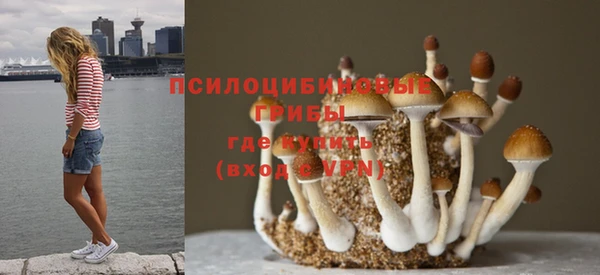 соль курить ск Сафоново