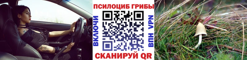 Псилоцибиновые грибы Psilocybine cubensis  закладки  ОМГ ОМГ ONION  Балашов 